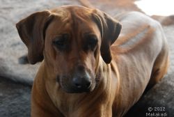 20120304_Macuma 15 Monate alt 0034